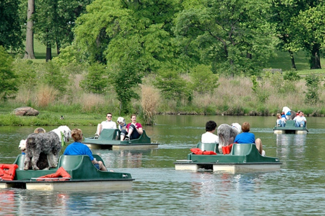 /images/events/24/Sheepies on Boats.jpg